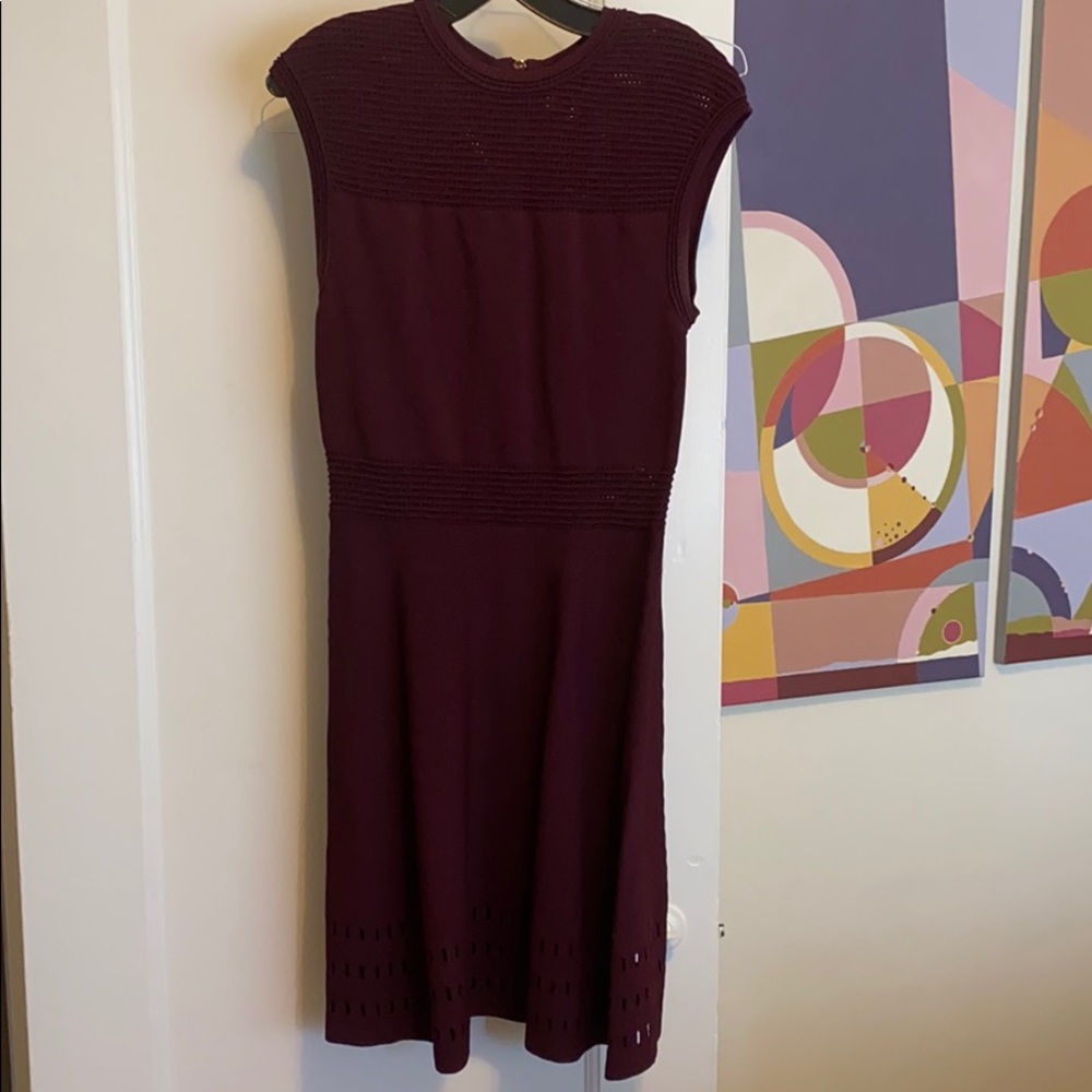 Ted Baker dress worn 2x.